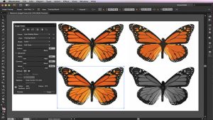 همه چیز درباره ی رشته ی تصویرسازی